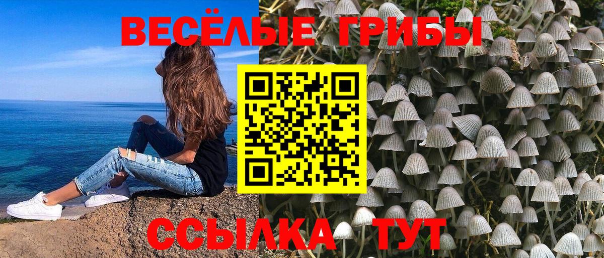 Псилоцибиновые грибы мицелий Домодедово